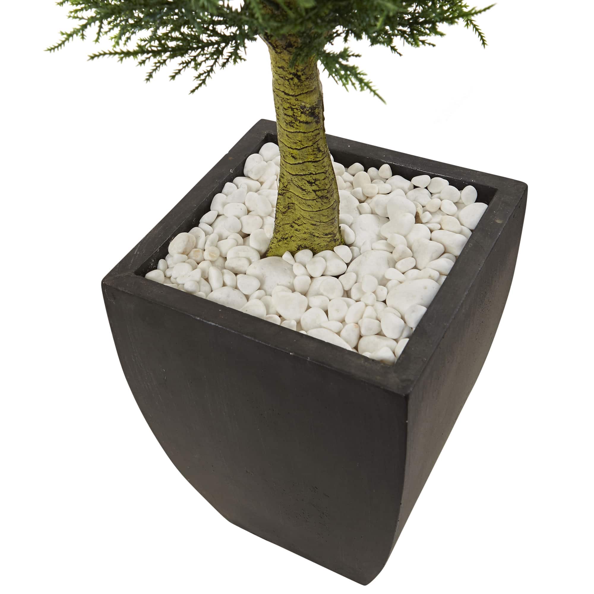 4.5ft. Cypress Topiary in Black Planter